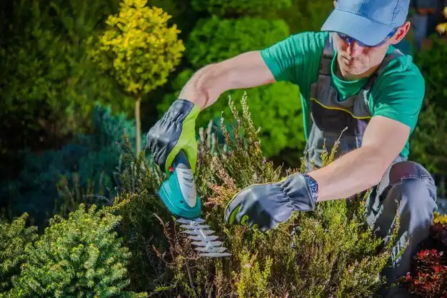 landscaping services Hernando